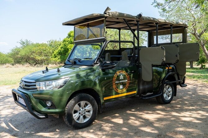 3 Day Kruger Glamping Budget Adventure - Immersive Wildlife Encounters