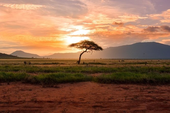 3-Day Masai Mara National Park Deluxe Tour - Health and Accessibility Considerations