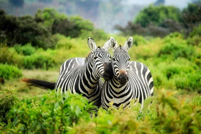 3-Day Mind Refreshing in Murchison Falls National Park - Private Transportation and Logistics