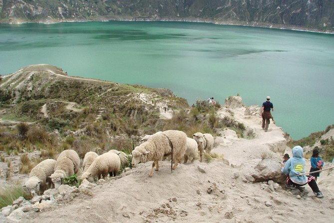 3-Day Private Tour to Quilotoa Lagoon & Baños De Agua Santa - Private Transportation and Pickup
