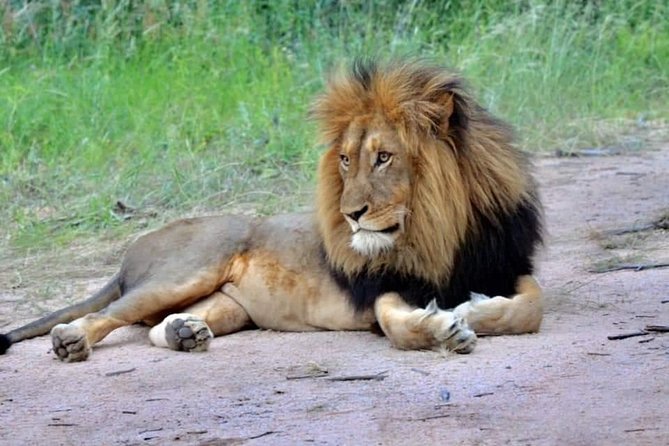 3-Day Safari to Ngorongoro, Tarangire & Lake Manyara NP - Marveling at Lake Manyara