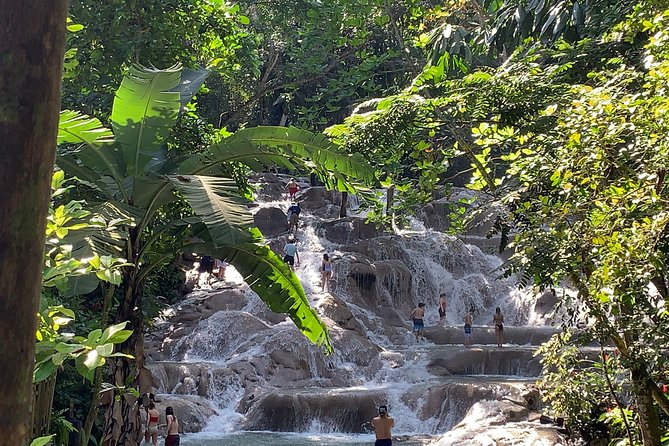 3-Day Sightseeing Tour of Portland and Ocho Rios Starting in Montego Bay - Meeting and Pickup
