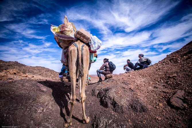 3-Day Small-Group Guided Hiking Expedition in the Sinai Desert - Meeting Point and Expedition Start