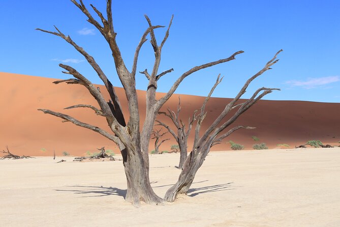 3 Day Sossusvlei Camping Schedule and Sandwich Habor - Meal Plan