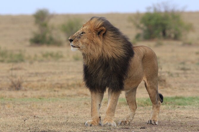 3-Day Sweetwaters: Ol Pejeta Conservancy Safari From Nairobi - Sweetwaters Chimpanzee Sanctuary
