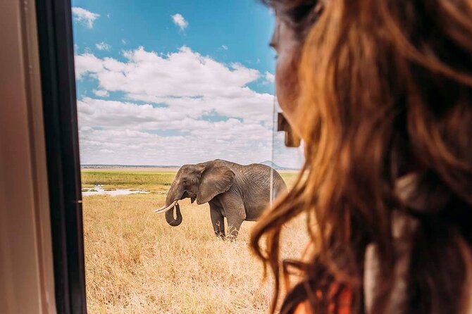 3-Day Taste of Tanzania Safari (Tarangire National Park and Ngorongoro Crater) - Preparing for the Adventure