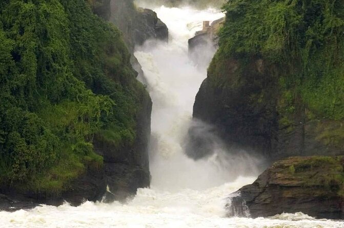 3-Day Tour in Murchison Falls Safari & Rhino Tracking - Accommodations Provided