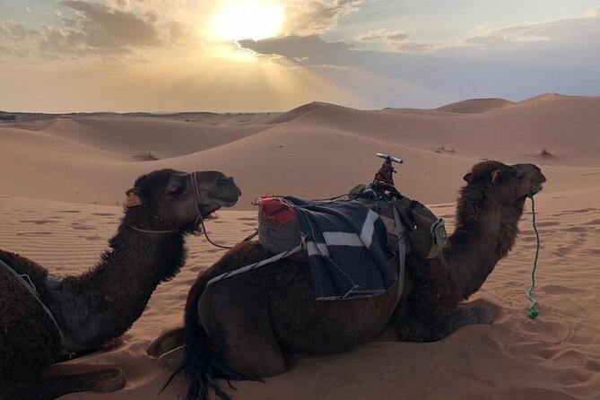 3-Days 2 Nights From Fes to Marrakech Private Luxury Desert Trip - Transportation Details