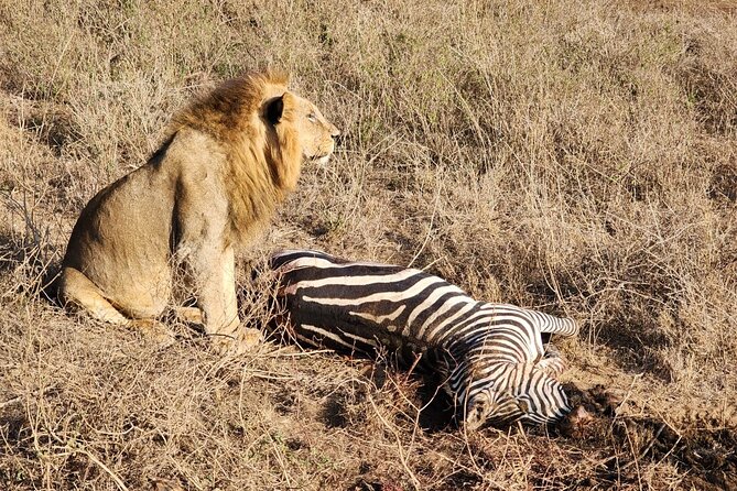 3 Days - 2 Nights Maasai Mara From Nairobi - Customizable Pickup Options