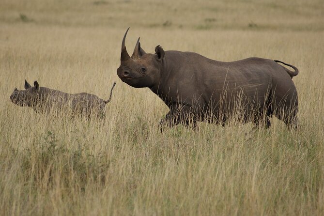 3 Days & 2 Nights Safari - Maasai Mara From Kisumu/Nairobi - Traveler Requirements
