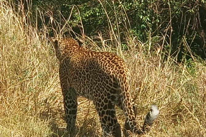 3 Days Adventurous Maasai Mara Budget Group Safari - Inclusions and Exclusions