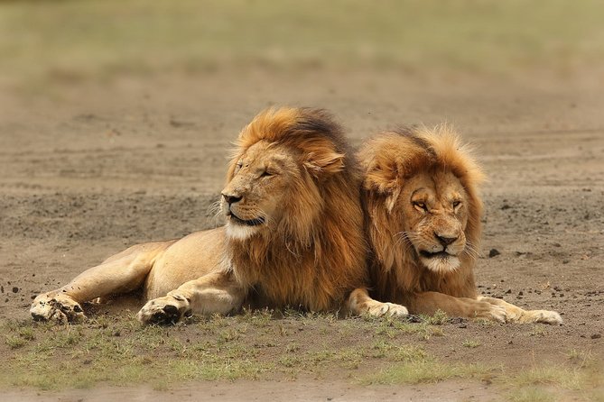 3 Days Amboseli National Park-Lodge Safari With Private 4x4 JEEP - Accommodation Details