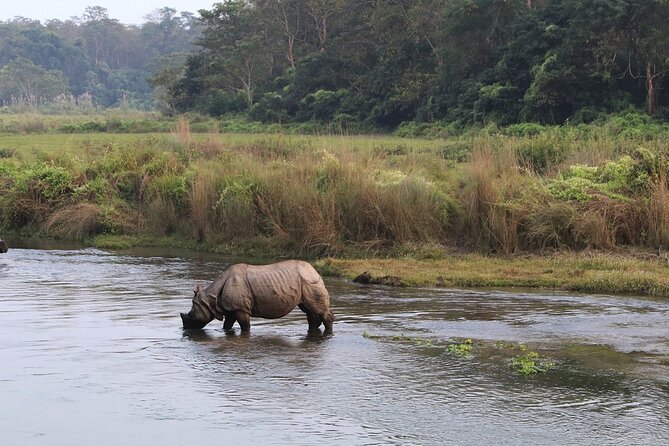 3 Days and 2 Nights Chitwan National Park Safari Tour in Pokhara - Inclusions and Pricing