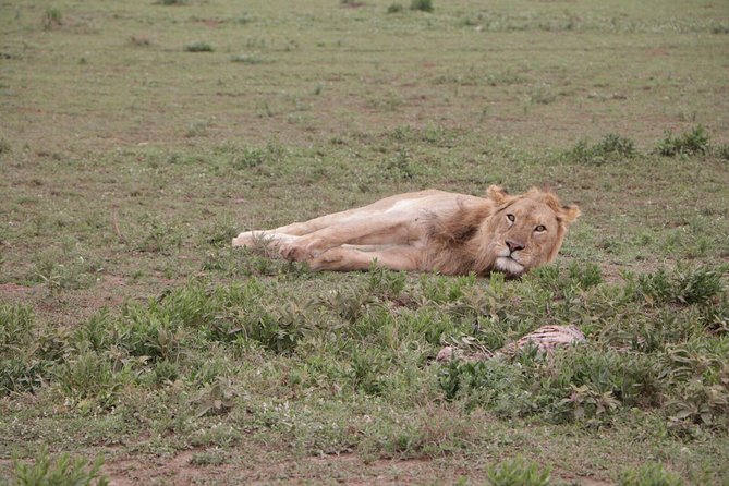 3 Days Camping Safari Tour Tanzania - Included Amenities