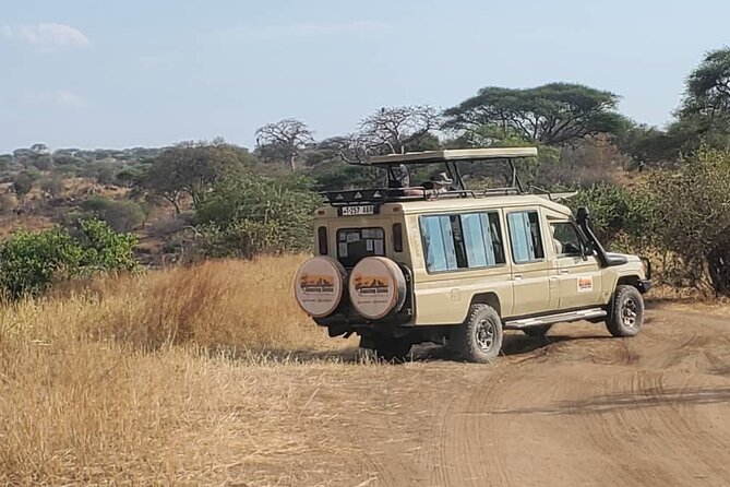 3 Days Fly in & Out Serengeti Park - Traveler Reviews