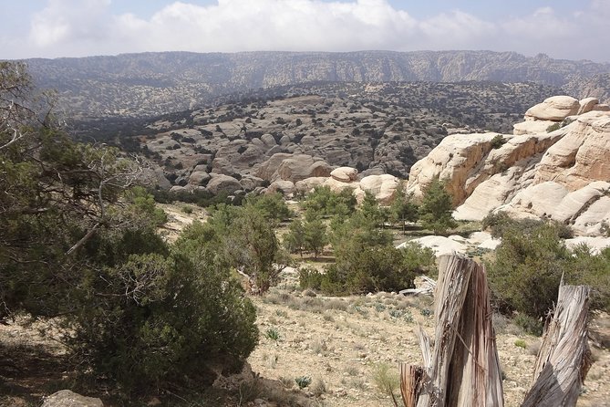 3 Days Jordan Fun & Activity Tour - Transportation and Services