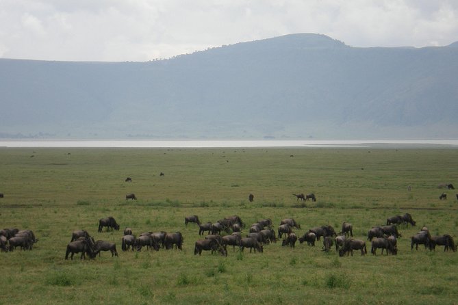 3 Days Lake Manyara, Ngorogoro Crater, Tarangire National Park - UNESCO World Heritage Sites