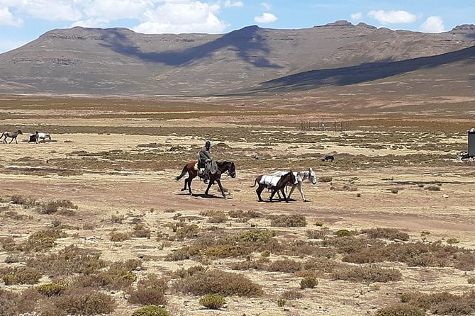 3 Days Lesotho Private Tour, Sani Pass and Maletsunyana Falls - Pickup and Meeting Details