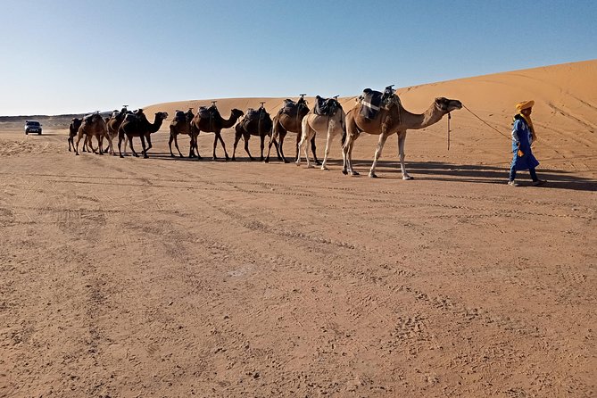 3 Days Luxury Private Desert Tour From Fez to Marrakech - Pickup and Timing Details