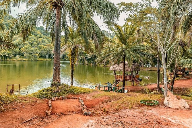 3 Days Magoroto Forest Tour - Packing and Preparation