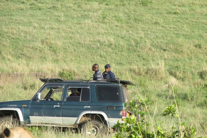 3 Days Masai Mara - Guest Reviews