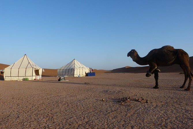 3-Days Private Sahara Desert Trek - Inclusions and Amenities