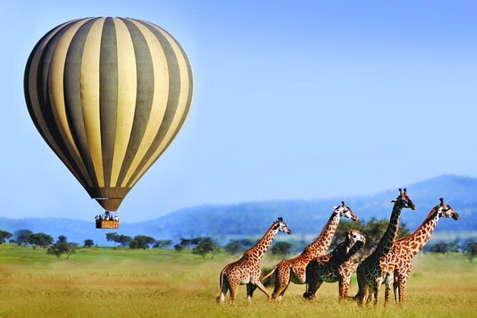 3 Days Private Tour in Maasai Mara - Transportation and Accessibility
