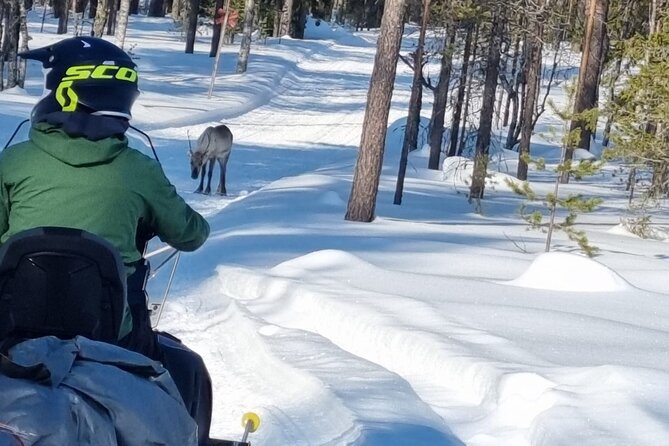 3 Days Raid Snowmobile in Finnish Lapland - Experiencing Finnish Laplands Beauty