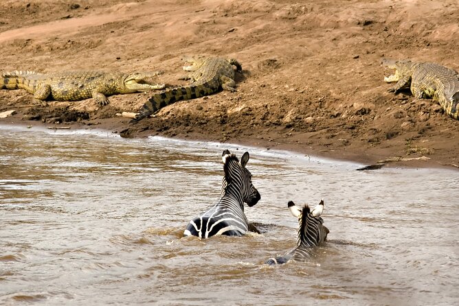 3 Days Safari Serengeti & Ngorongoro Crater - Camping Under the Stars