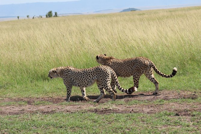 3 Days Safari Tour in Lake Manyara and Ngorngoro - Cancellation Terms