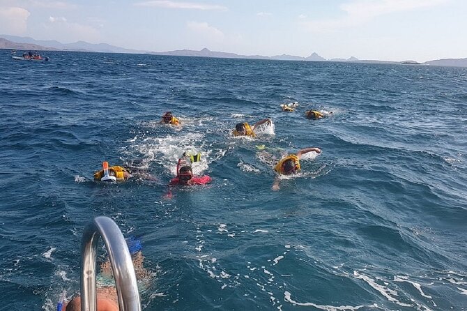 3-Days Sailing Komodo Island,Padar & Manta Point Departure Every Friday - Health and Safety