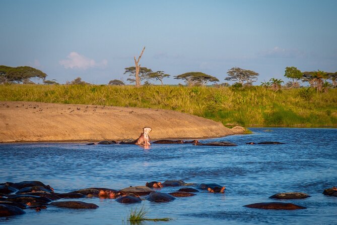 3 Days Serengeti & Ngorongoro Group - Ngorongoro Conservation Area