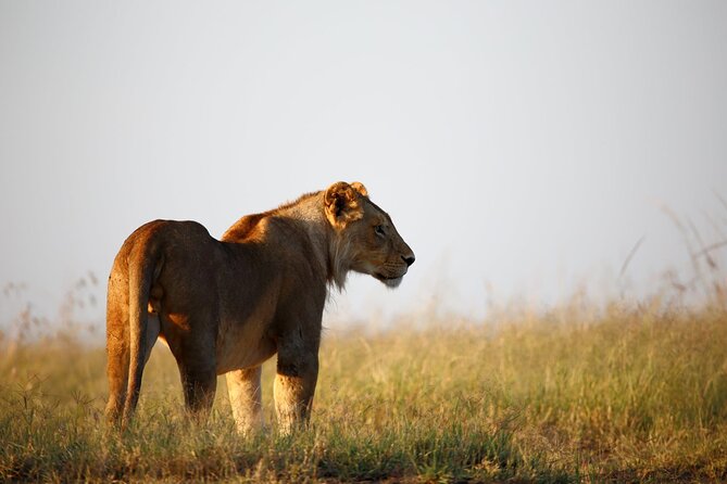 3 Days Tanzania Safari to Manyara Tarangire and Ngorongoro - Customer Reviews