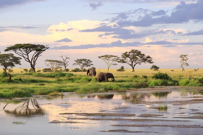 3 Days-Tarangire, Ngorongoro & Lake Manyara: Camping Joint Safari. - Pricing Details