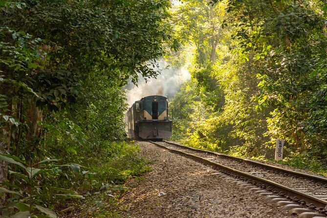 3 Days Teagarden and Rainforest Tour in Sreemangal - The Sum Up
