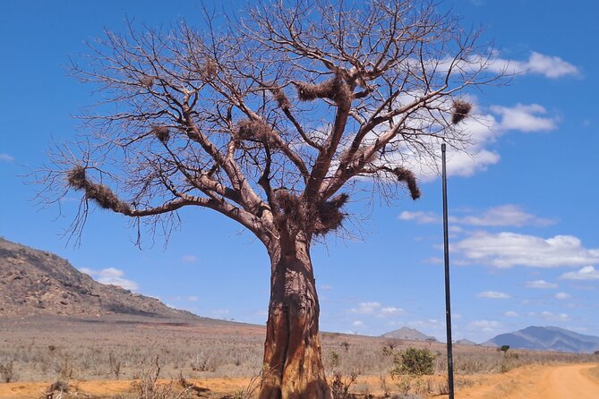 3 Days Tsavo East & Amboseli Safari From Mombasa/Diani or Nairobi - Pickup and Dropoff Arrangements