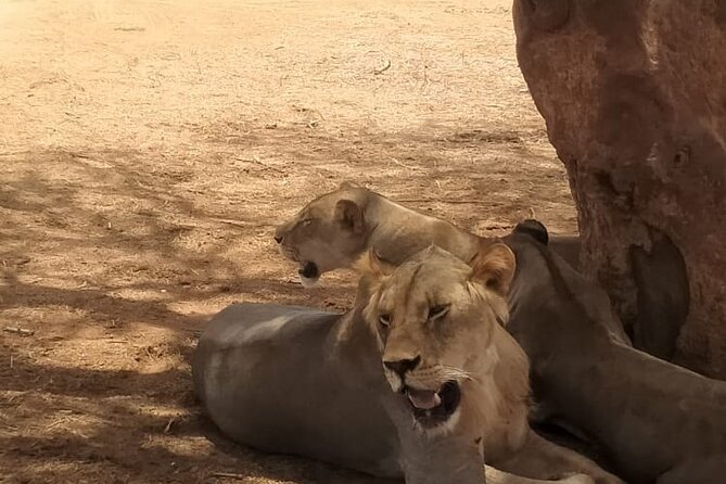 3 Days Tsavo East & West Starting From Mombasa. - Ratings and Reviews