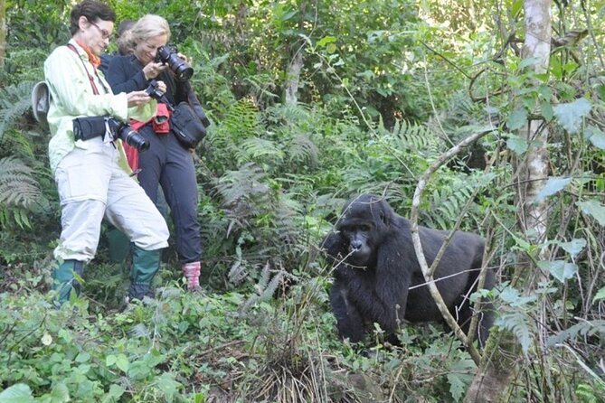 3 Days Uganda Gorilla Trekking Safari - What to Pack