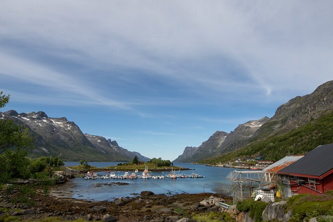 3 Fjords Scenic Road Trip With Light Snacks + Fire in Grill Cabin - Scenic Road Trip Through Fjords