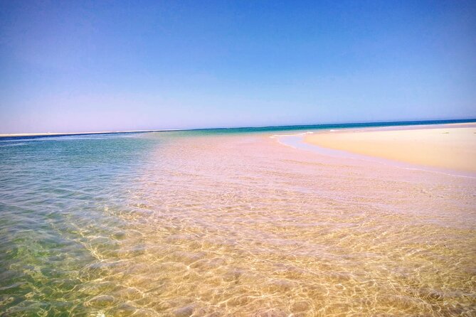 3 Hour Boat Tour in Ria Formosa - Meeting and Pickup Location