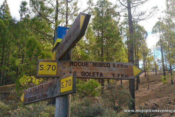 3-Hour Hiking Experience in Roque Nublo - Health and Safety Information