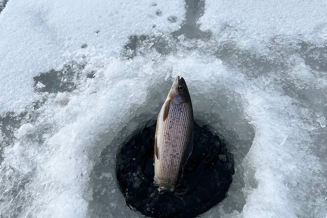 3 Hour Ice Fishing Experience - Inclusions and Amenities