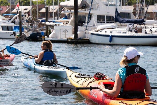 3 Hour Kayak in Vancouver With Coffee on the Beach - Schedule and Availability