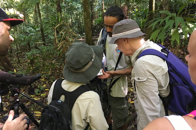3-Hour Private Birdwatching Experience in Uvita / Ojochal - Highlights of the Birdwatching Tour