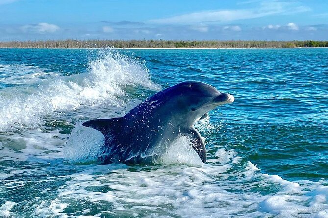 3 Hour Private Dolphin & Shelling Tour - Meeting and Pickup Details