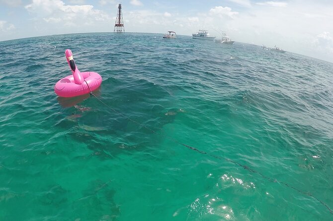 3 Hour Private Snorkeling in Marathon Florida - Meeting and Pickup Details