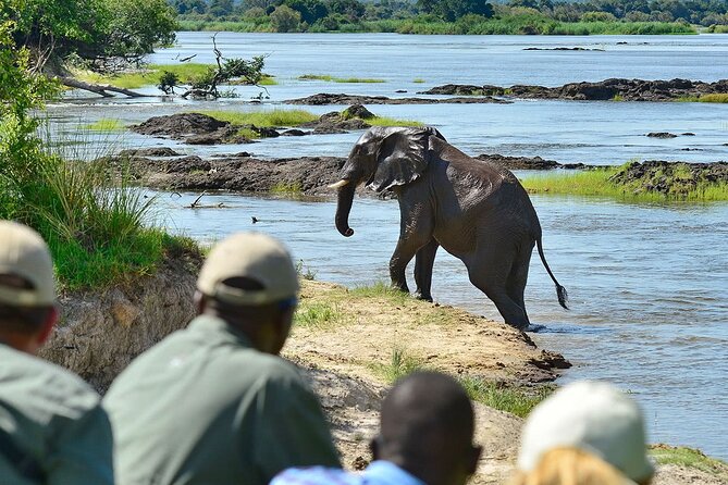 3 Hour Private Tour in Mosi-Oa-Tunya National Park - Guest Reviews and Ratings
