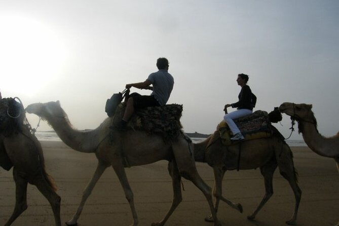 3 Hours Camel Ride in Essaouira With Dinner and Overnight in Berber Camp - Camel Riding Experience