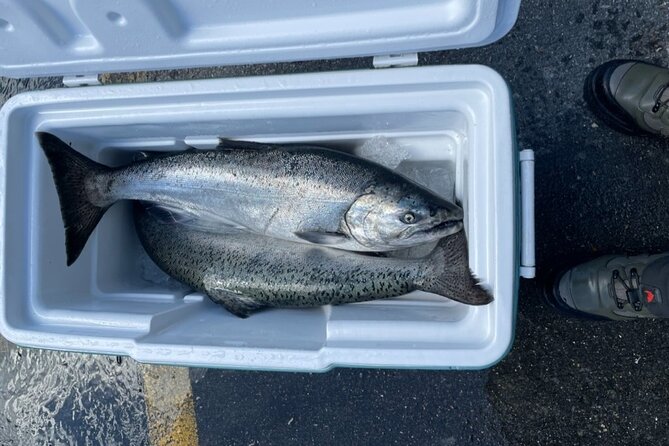 3 Hours Fishing Experience Class in Juneau - Personalized Instruction Provided