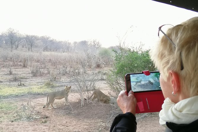 3 Hrs Game Drive in Chobe National Park - Booking Process